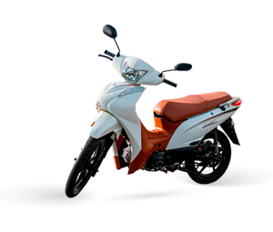 Shineray JET 125 SS Branca com Marrom